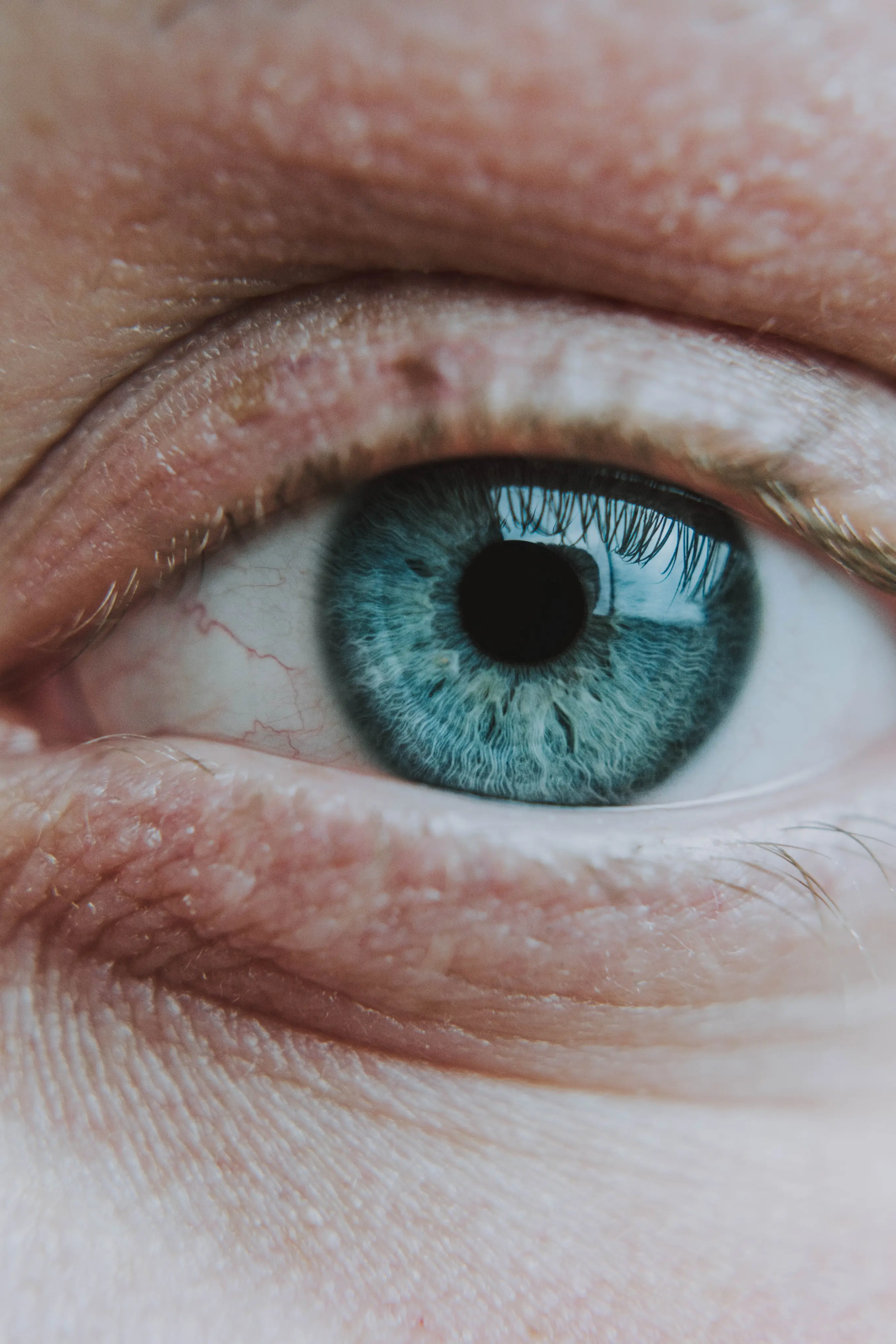 Picture of a patient undergoing an eye test